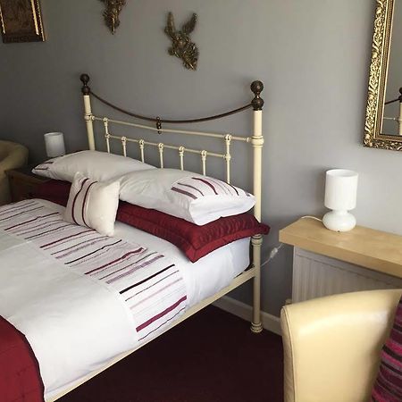 Castle Lodge Guest House Newport  Extérieur photo